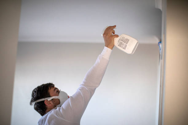 Office Mold Removal Services in Redington Beach, FL